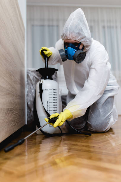 Professional Pest Control in Island Walk, FL